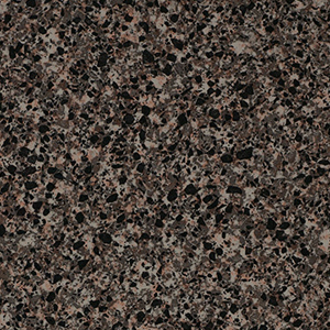 Formica butterum granite
